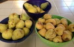 pie baking pears